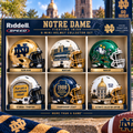 Premium NDFI Mini Helmet Collection LNTH